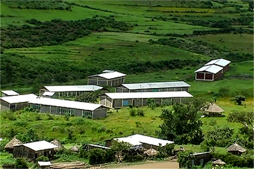 Worku-Jember School.png